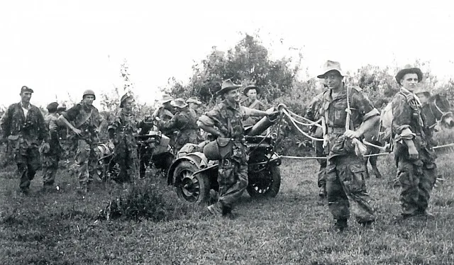 120mm MO-120-AM50, 120 mm smoothbore heavy mortar, Artillery