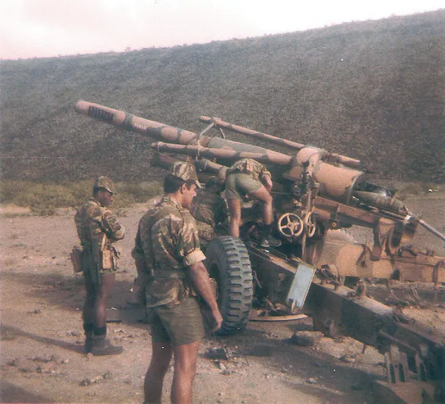 155 mm Modèle 50, 155 mm towed howitzer, Artillery - view 1
