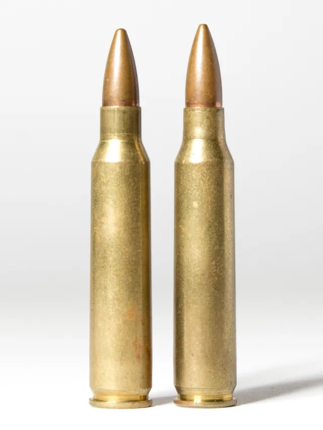 5.56x45mm NATO cartridge, 5.56x45mm NATO small-arms cartridge, Munitions - view 1