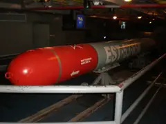 53-65K torpedo, 533 mm wake-homing anti-ship torpedo, Munitions
