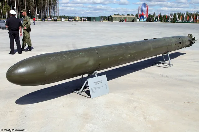 53-65K torpedo, 533 mm submarine torpedo, Munitions - view 1