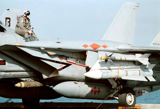 AIM-54 Phoenix missile, Air-to-air missile, Munitions - view 1