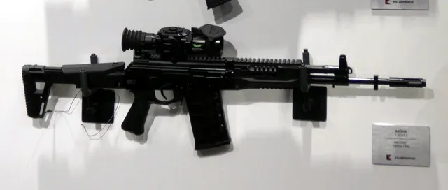AK-308 rifle, 7.62x51 mm battle rifle, Infantry Weapons - view 1