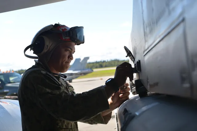 ALQ-99 Tactical Jamming System, Tactical jamming pod system, Electronic Warfare - view 2