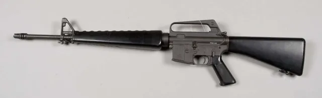 AR-15-pattern rifle, 5.56 mm self-loading rifle platform, Infantry Weapons - view 3