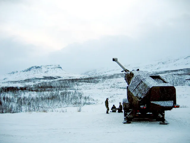 Archer, 155 mm wheeled self-propelled howitzer, Artillery - view 1