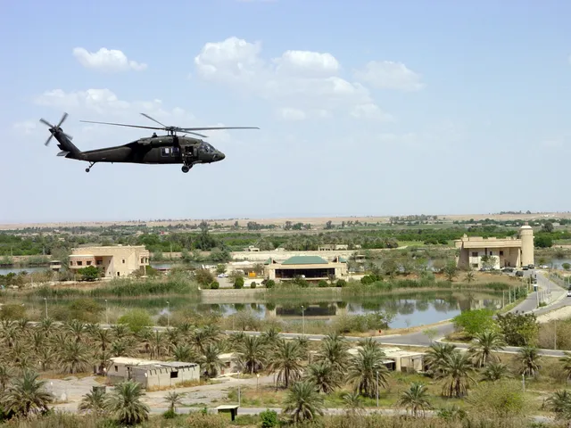 Black Hawk helicopter, Medium-lift military utility helicopter family, Aircraft & UAVs - view 1