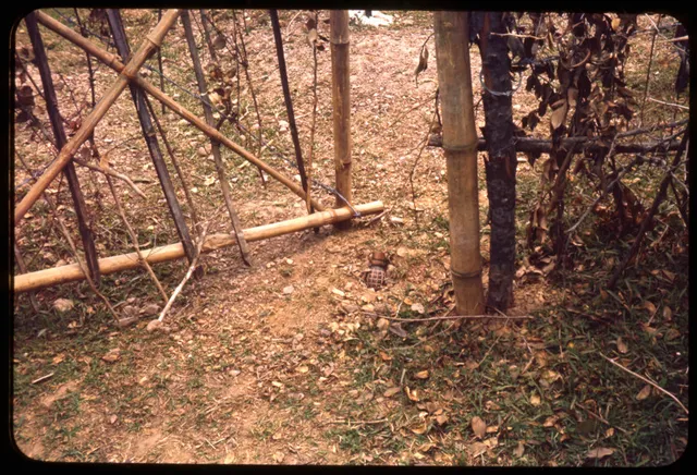 Booby trap, Booby trap, Munitions - view 1
