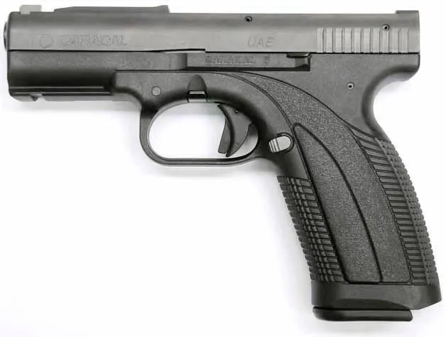 Caracal pistol, Semi-automatic service pistol, Infantry Weapons - view 1