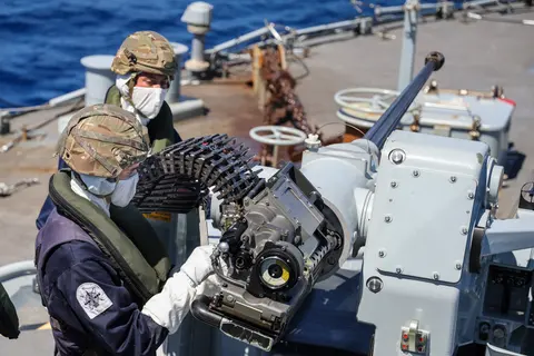 DS30M 30 mm naval gun, Naval gun, Naval Systems