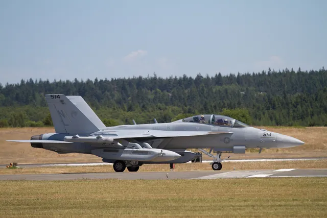 EA-18G Growler, Carrier-capable airborne electronic attack aircraft, Electronic Warfare - view 2
