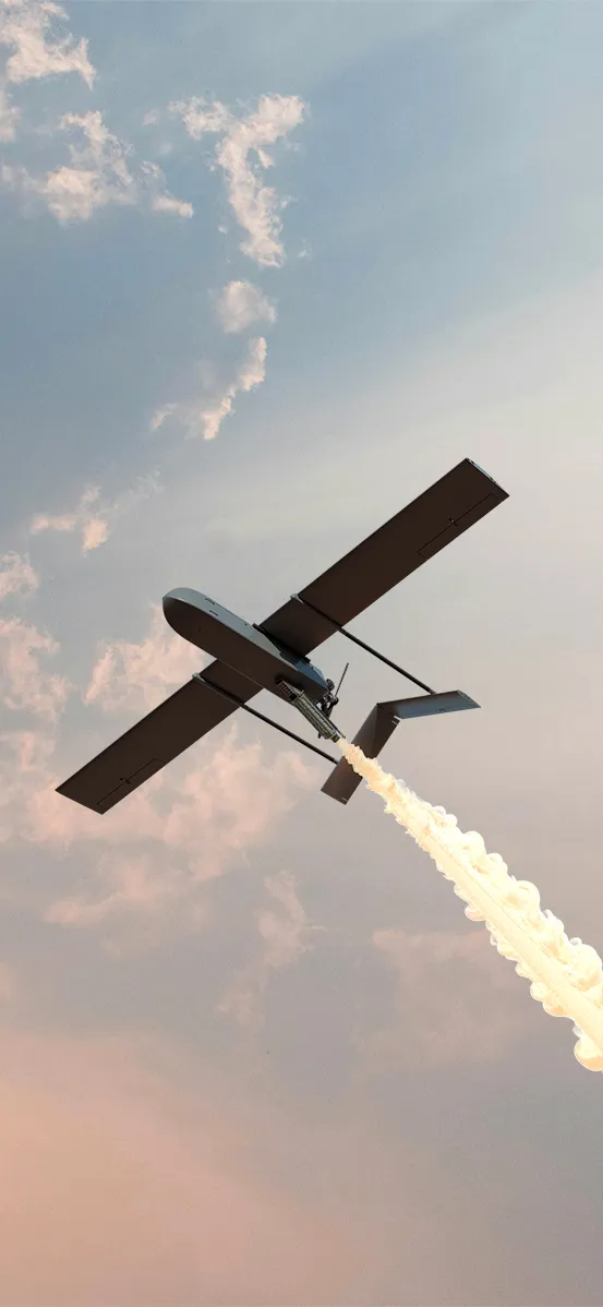 Fire Point FP-1, Long-range one-way attack UAV, Aircraft & UAVs - view 1