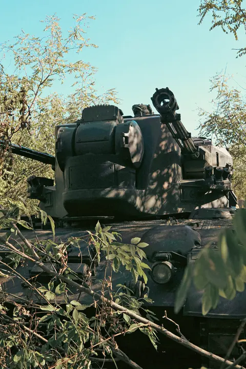 Flakpanzer Gepard, Self-propelled anti-aircraft gun, Air Defense