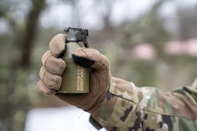 Hand grenade, Hand-thrown explosive grenade family, Munitions - view 2