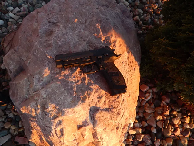 Handgun/pistol, Handheld small arm / sidearm, Infantry Weapons - view 2