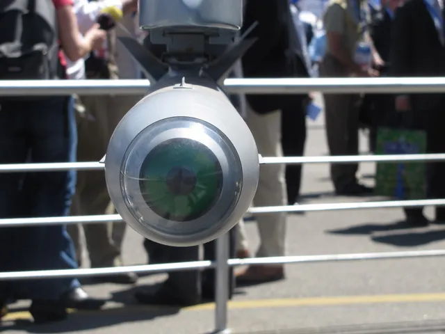 IRIS-T, Short-range air-to-air missile, Munitions - view 2