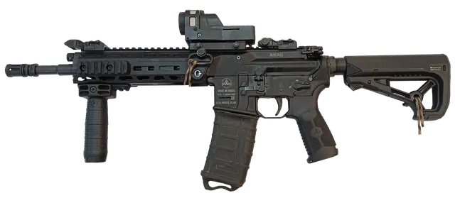 IWI Arad assault rifle, Modular assault and battle rifle family, Infantry Weapons - view 1