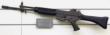 K2 assault rifle, 5.56 mm assault rifle, Infantry Weapons