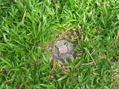 Landmine, Explosive ground mine, Infantry Weapons