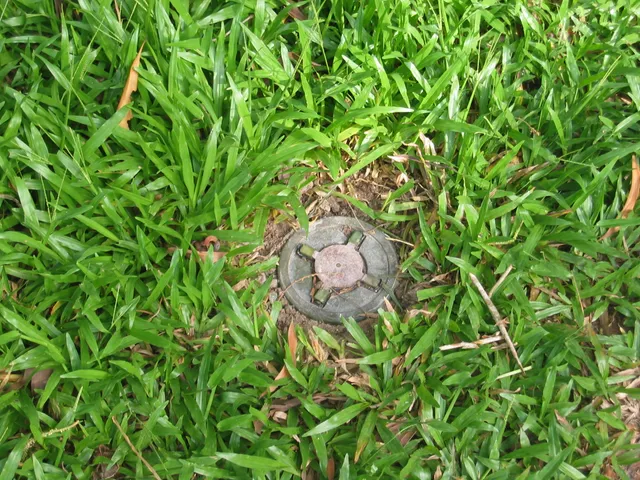 Landmine, Explosive ground mine, Infantry Weapons - view 1