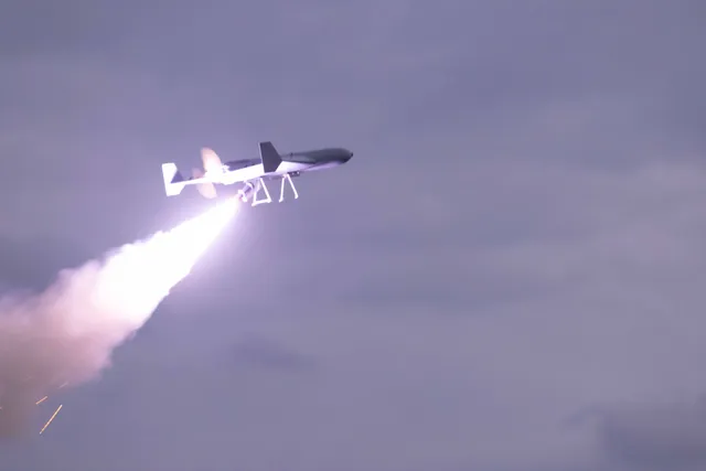 LUCAS, One-way attack UAV / loitering munition, Aircraft & UAVs - view 1