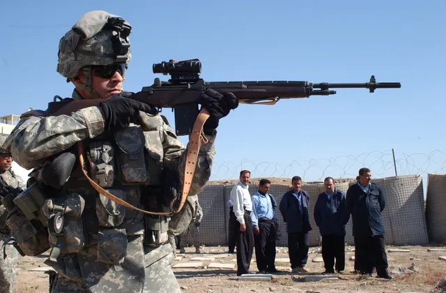M14, 7.62 mm battle rifle, Infantry Weapons - view 2