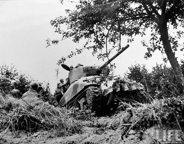 M4 Sherman, Second World War medium tank family, Tanks - view 3