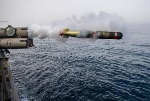 MK 54 lightweight torpedo, Lightweight anti-submarine torpedo, Munitions