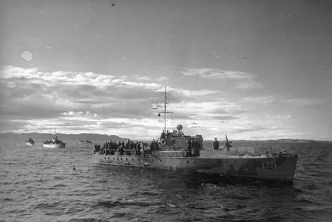 Morskoy Okhotnik (MO-type) submarine chaser, Small submarine chaser / patrol boat, Naval Systems