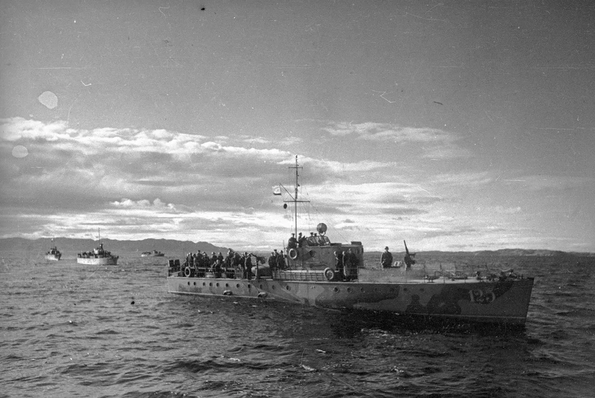 Morskoy Okhotnik (MO-type) submarine chaser, Small submarine chaser / patrol boat, Naval Systems