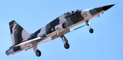 Northrop F-5 Freedom Fighter / Tiger II, Supersonic light fighter aircraft, Aircraft & UAVs