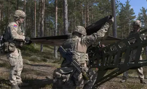 Nyan, One-way effector UAV, Aircraft & UAVs
