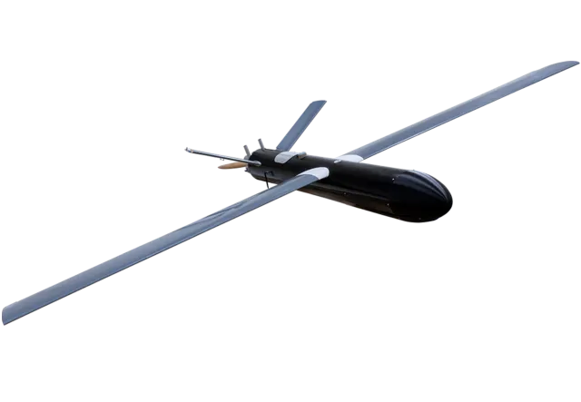 Phoenix Ghost, Loitering munition / one-way attack UAS, Aircraft & UAVs - view 1