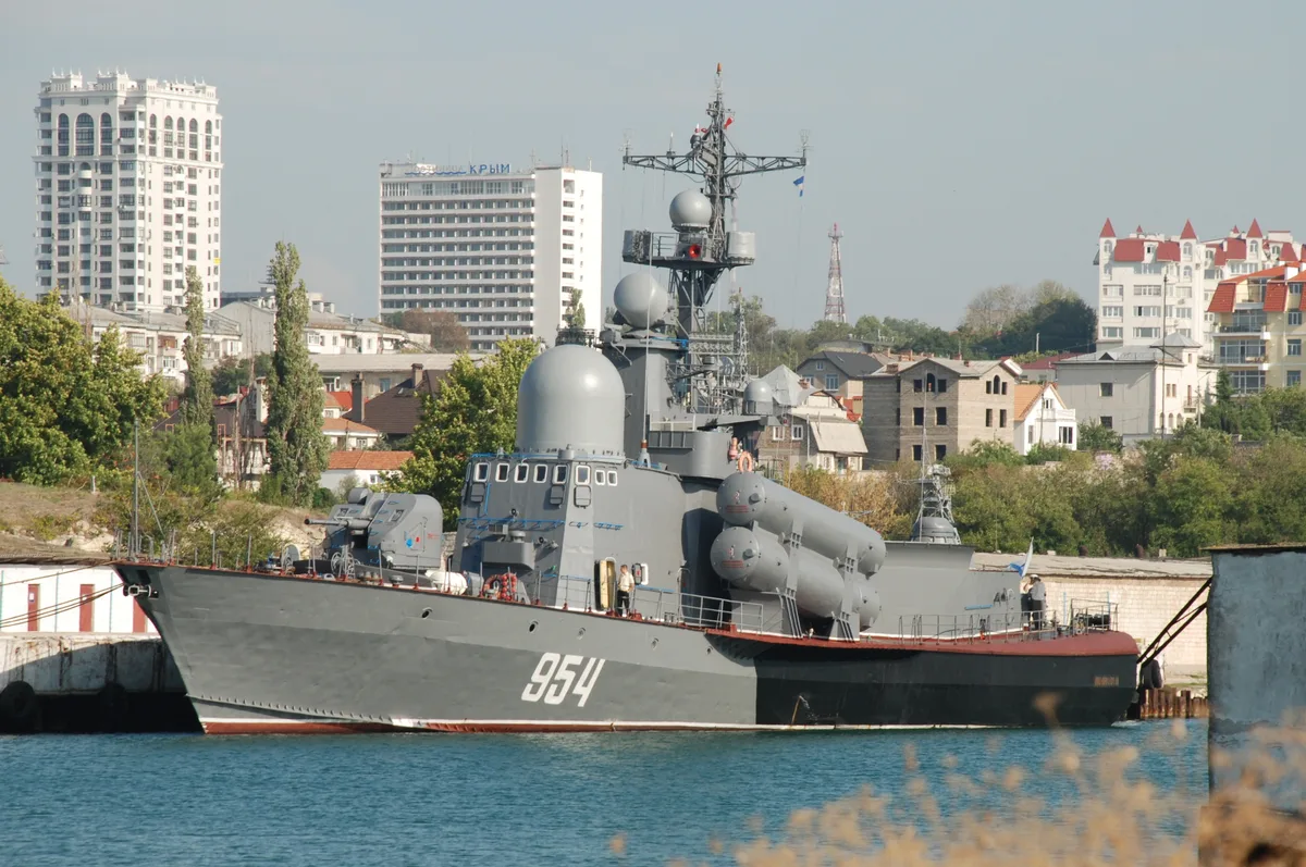 Project 1241 Molniya / Tarantul-class missile corvette, Missile corvette class, Naval Systems - 2014 Russia-Ukraine War