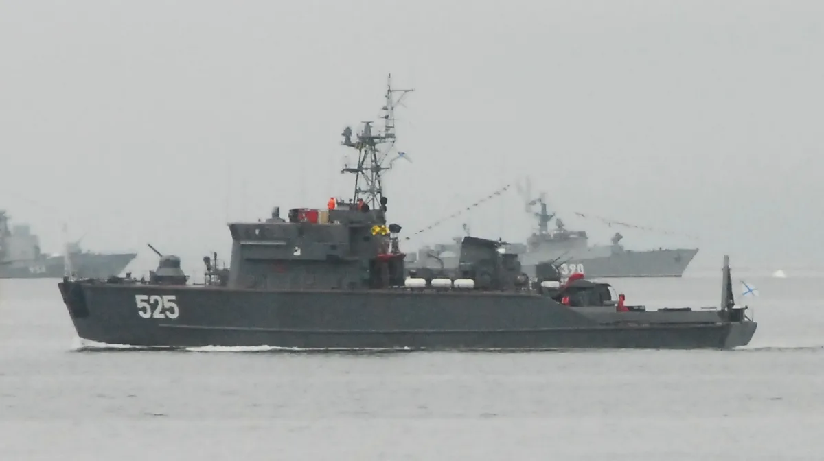 Project 1265 Yakhont / Sonya-class minesweeper, Coastal minesweeper / minehunter, Naval Systems