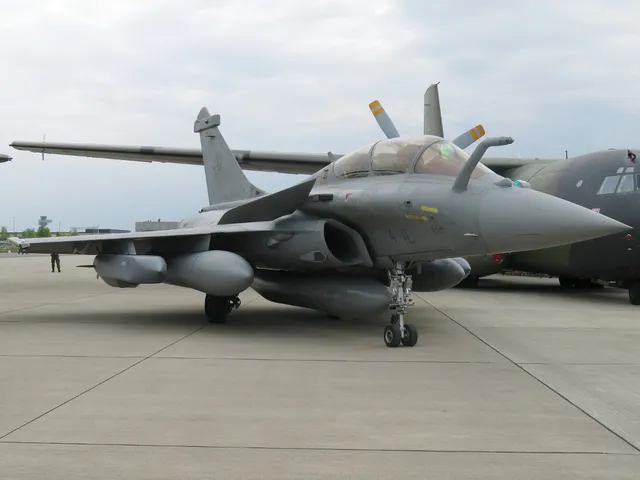 SCALP-EG, Air-launched cruise missile, Munitions - view 1