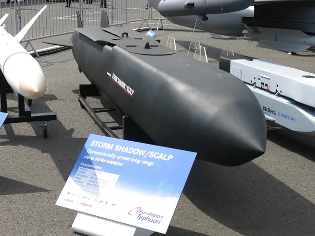 SCALP-EG, Air-launched cruise missile, Munitions - view 2