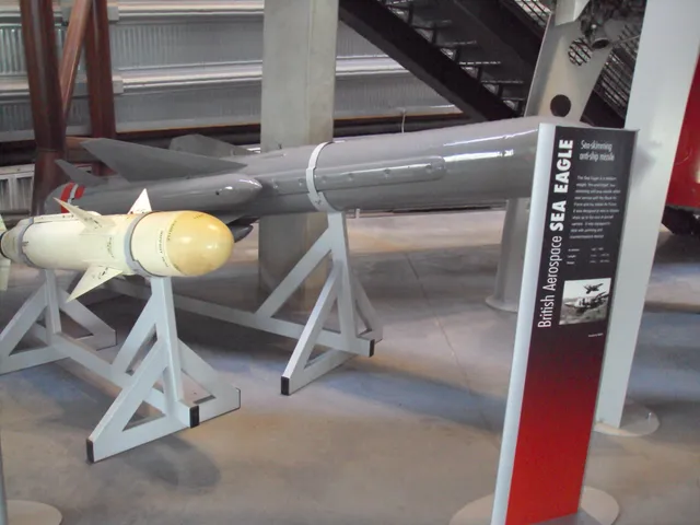 Sea Eagle anti-ship missile, Air-launched anti-ship missile, Munitions - view 1