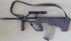 Steyr AUG rifle, 5.56 mm bullpup assault rifle family, Infantry Weapons