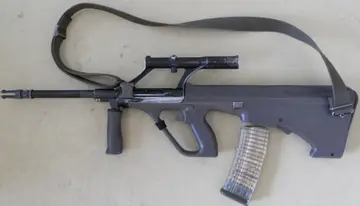 Steyr AUG rifle, 5.56 mm bullpup assault rifle family, Infantry Weapons