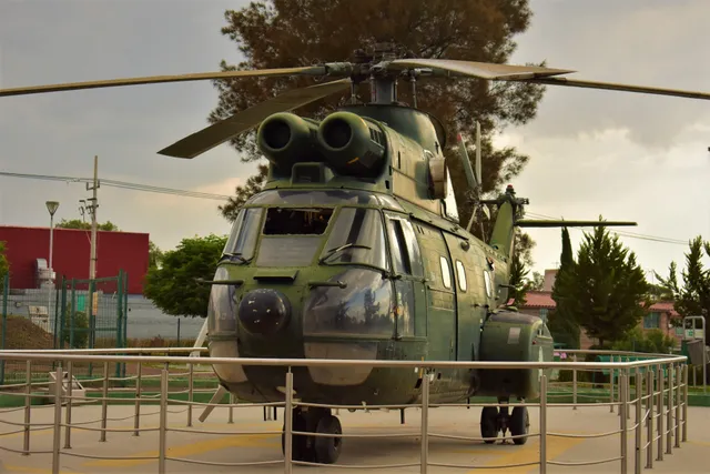 Super Puma combat support helicopter, Twin-engine medium-lift utility helicopter, Aircraft & UAVs - view 2