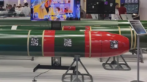 TE-2 torpedo, 533 mm electric remote-control homing torpedo, Munitions