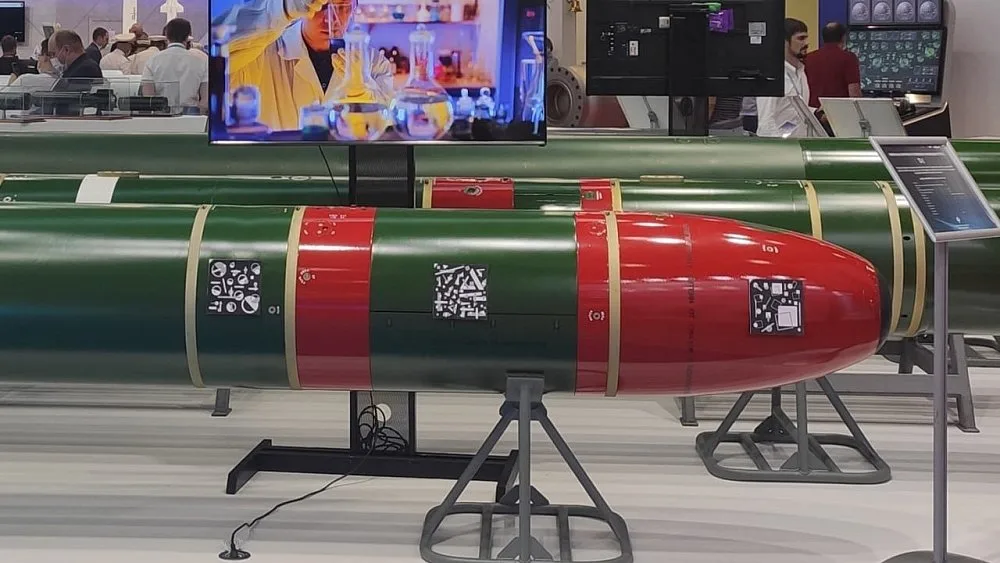 TE-2 torpedo, 533 mm electric remote-control homing torpedo, Munitions
