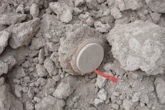 TS-50 anti-personnel mine, Minimum-metal blast anti-personnel mine, Infantry Weapons - view 2