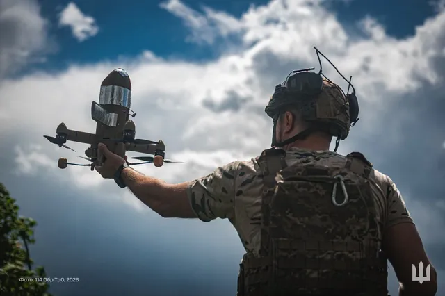 Wild Hornets STING interceptor drone, FPV interceptor drone, Aircraft & UAVs - view 1